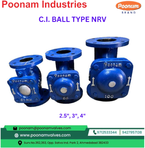 CI Ball Type NRV Manufacturer