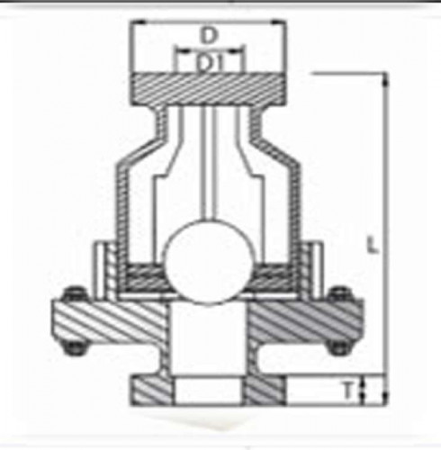PP Non Return Screw End